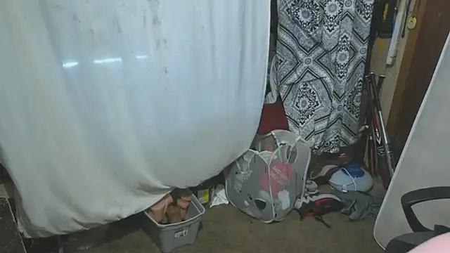 sex4fun 21 online show from 04/02/26, 11:11