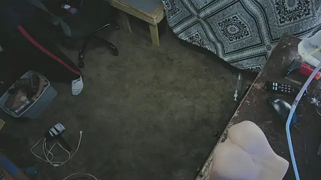 sex4fun 21 online show from 11/02/25, 05:56