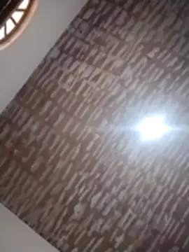 catdool online show from 12/14/25, 12:22