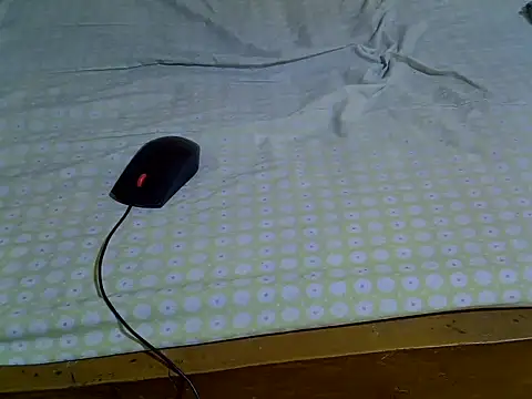 EbonyMina  online show from 04/10/26, 01:40