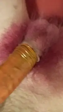 Snapshot of DerWeisser chatting on 02/03/25, 09:29 DerWeisser online show from 02/03/25, 09:29