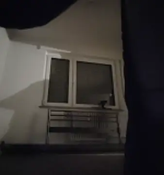 GermanBigDream online show from 02/03/26, 07:30