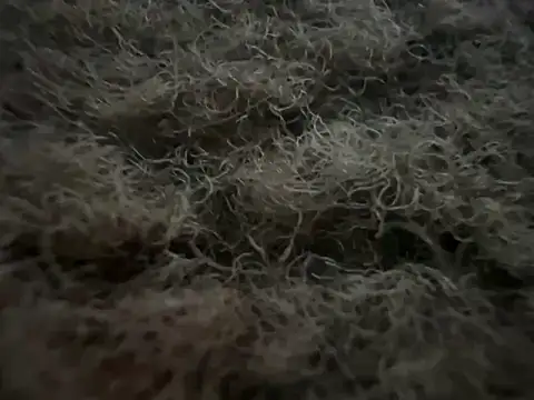 Exclusivenutxxx online show from 02/22/25, 05:12