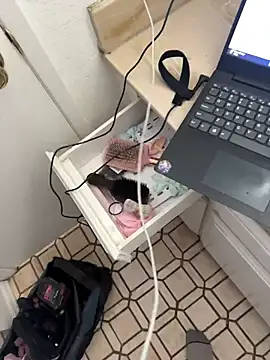 Exclusivenutxxx online show from 11/10/25, 10:37