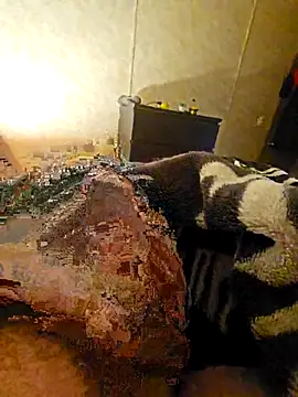 Snapshot of Advocate_420 chatting on 12/03/25, 06:47 Advocate 420 online show from 12/03/25, 06:47