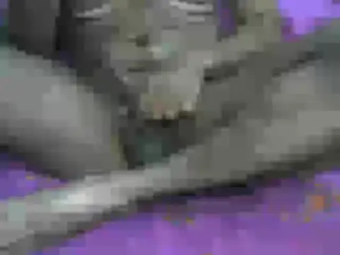 AnilSharma2021 online show from 12/13/25, 08:04