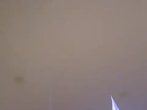 LionEdwin online show from 04/07/26, 10:39