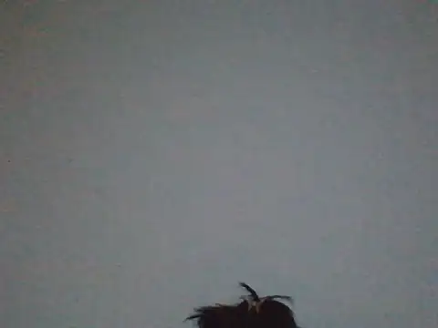 FallenDevil online show from 05/31/26, 07:58