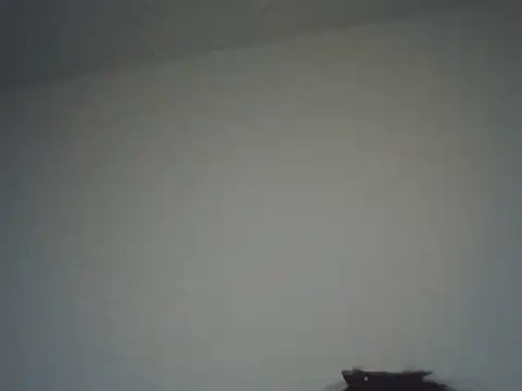 FallenDevil online show from 11/16/25, 08:13