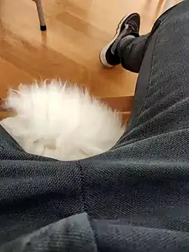 papiculo86 online show from 02/02/25, 09:07