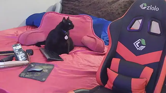 sugahfreeee online show from 12/14/25, 08:09