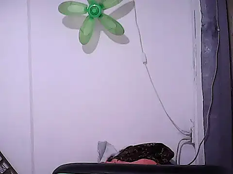 BigDickTrans online show from 02/05/26, 07:04