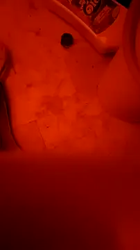 Snapshot of Misspadrona88 chatting on 02/14/26, 04:07 Misspadrona88 online show from 02/14/26, 04:07