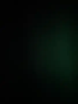 Snapshot of waspy chatting on 12/04/25, 11:31 waspy online show from 12/04/25, 11:31