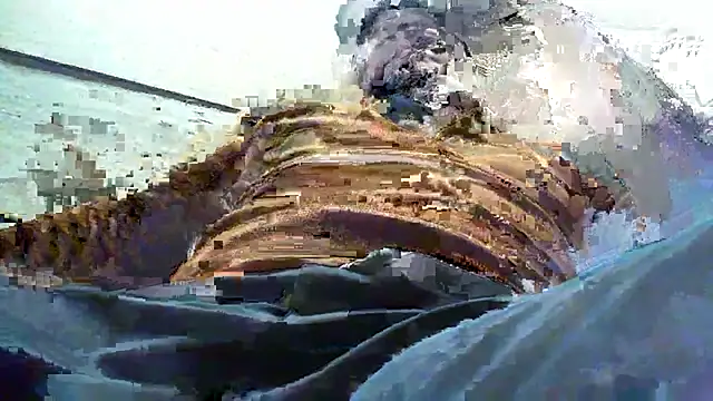 Snapshot of Billywax chatting on 01/08/26, 09:15 Billywax online show from 01/08/26, 09:15