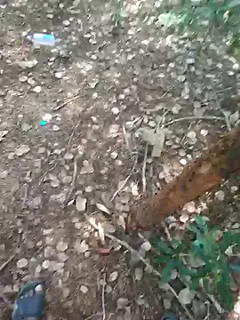 rameshmry1 online show from 02/21/26, 09:00