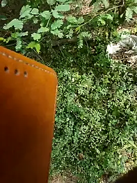 rameshmry1 online show from 01/07/26, 05:01