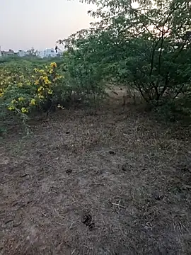 rameshmry1 online show from 03/05/26, 12:35