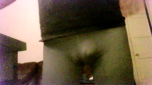 SDtinycok online show from 09/22/25, 09:10