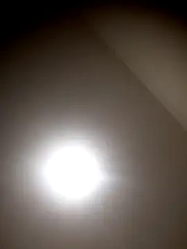 sua sub  online show from 10/24/25, 02:16