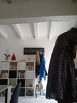 Transvirginie online show from 06/26/26, 06:08