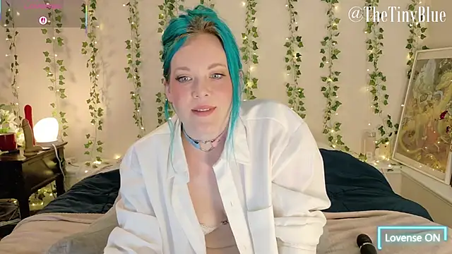 thetinyblue online show from 02/25/26, 05:46