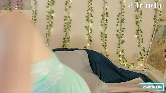 thetinyblue online show from 02/04/26, 05:41