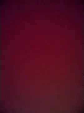 martuk online show from 11/15/25, 02:59