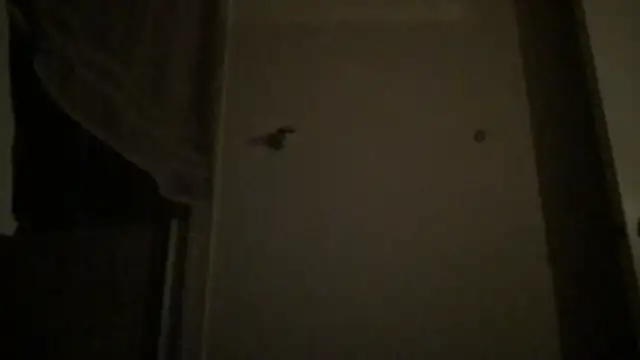 BigGuyMuscle online show from 04/04/26, 04:08