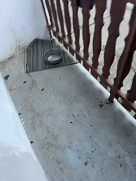 Snapshot of MatThiAs2806 chatting on 02/15/26, 06:25 MatThiAs2806 online show from 02/15/26, 06:25