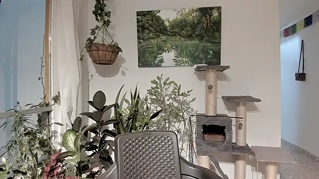 Snapshot of sexnherbs chatting on 02/11/26, 12:43 sexnherbs online show from 02/11/26, 12:43