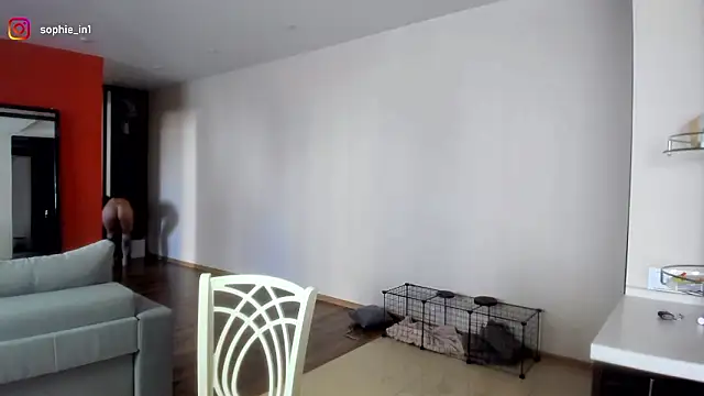  in yan online show from 03/16/26, 04:31