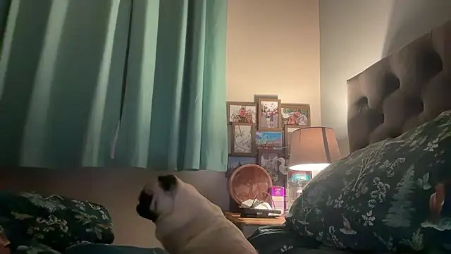 short sweetpea online show from 01/12/26, 06:09