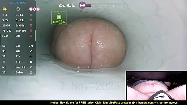 Snapshot of controlmytoys chatting on 11/07/25, 09:19 controlmytoys online show from 11/07/25, 09:19