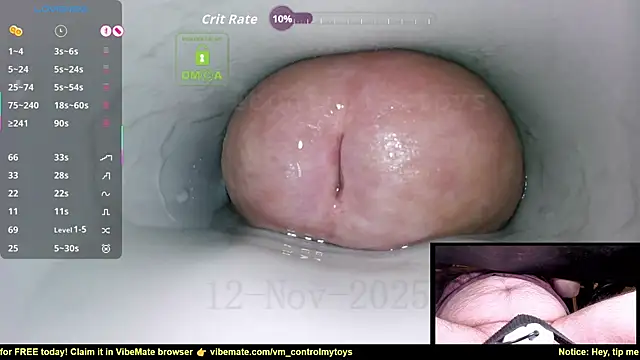 Snapshot of controlmytoys chatting on 11/12/25, 08:34 controlmytoys online show from 11/12/25, 08:34