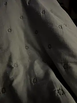 petuletra online show from 09/13/25, 08:09