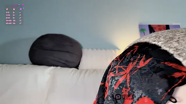 sphynx- - online show from 01/12/25, 07:53