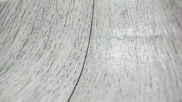 LittleSonya online show from 12/15/25, 04:57