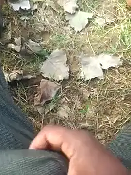 FinableKnee online show from 10/06/25, 03:08