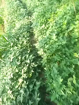 FinableKnee online show from 10/09/25, 03:29