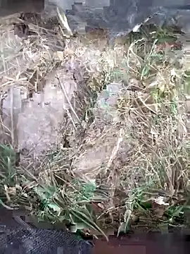 FinableKnee online show from 10/11/25, 04:24