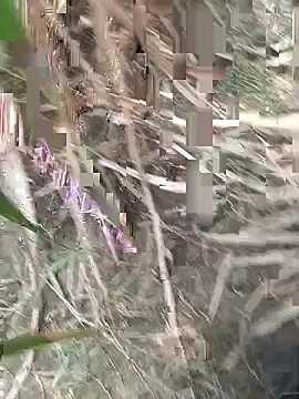 FinableKnee online show from 09/18/25, 04:48