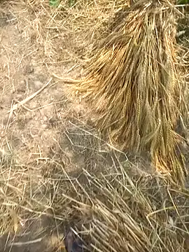 FinableKnee online show from 04/08/26, 05:31