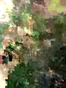 FinableKnee online show from 03/26/26, 04:44