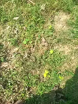 FinableKnee online show from 10/15/25, 05:06