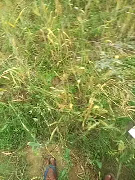 FinableKnee online show from 03/29/26, 04:14