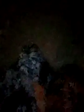 FinableKnee online show from 11/10/25, 03:06