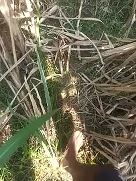 FinableKnee online show from 10/16/25, 04:43