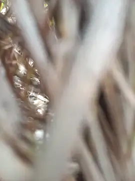 FinableKnee online show from 09/19/25, 04:49