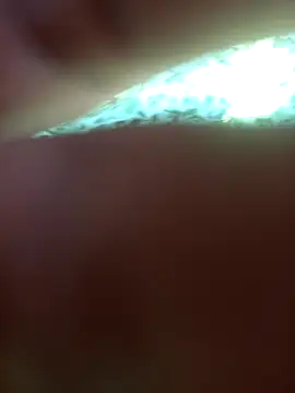 FinableKnee online show from 09/24/25, 05:03